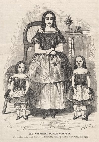 I meravigliosi bambini Dutton da Winslow Homer