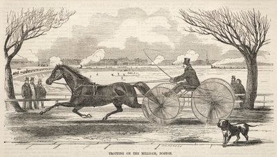 Trotto sulla diga del Mulino, Boston da Winslow Homer