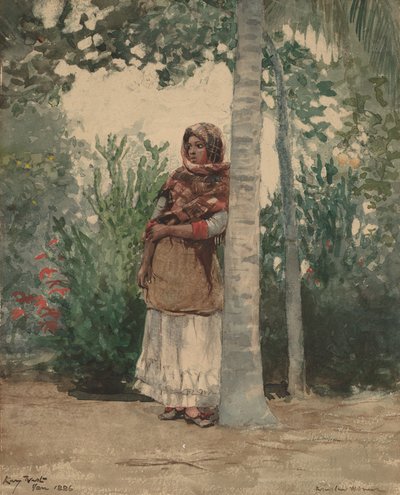 Sotto una palma da Winslow Homer