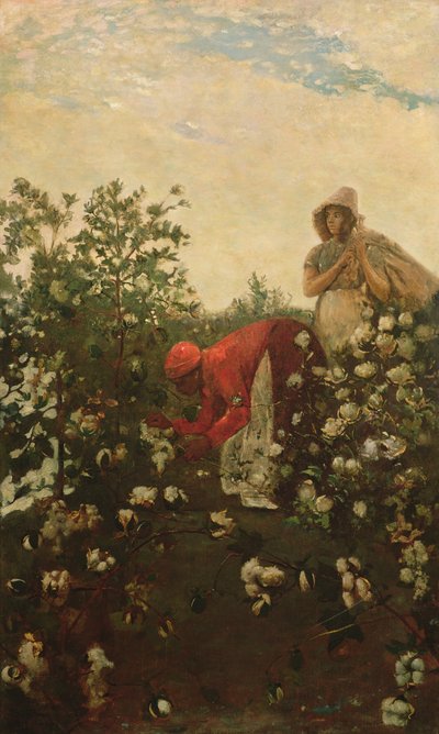 Cotone delle alture da Winslow Homer