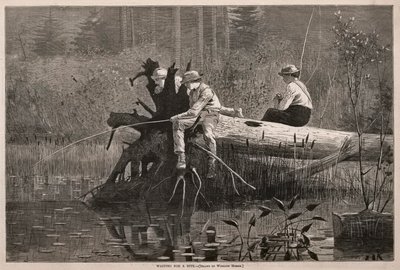 In attesa di un boccone da Winslow Homer
