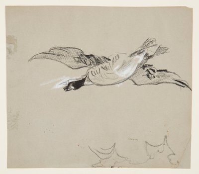 Oca selvatica in volo da Winslow Homer