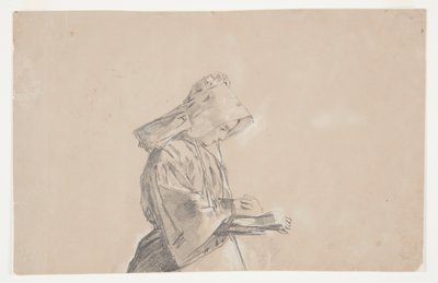 Donna con un cappello da sole da Winslow Homer