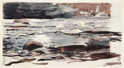 Ruscello nel bosco da Winslow Homer