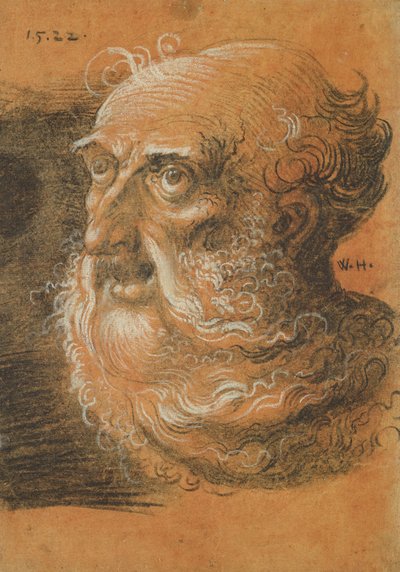 Studio della testa, 1522 da Wolf Huber