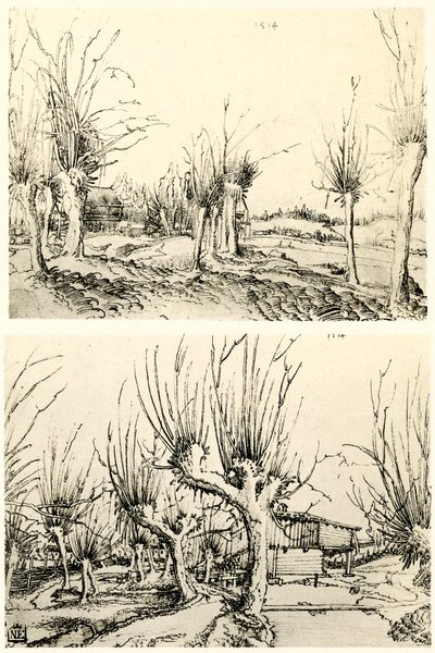 Paesaggi con salici da Wolf Huber