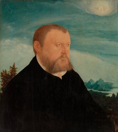 Ritratto di un uomo da Wolfgang Huber