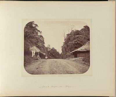 La cima del Poentjak vicino a Buitenzorg da Woodbury and Page