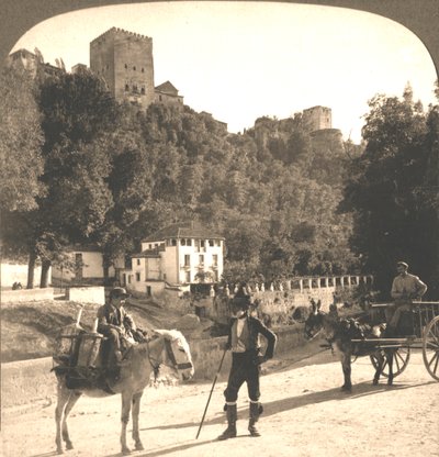 Mura e Torri dell