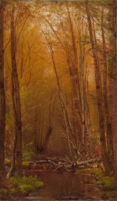 Le betulle delle Catskill da Worthington Whittredge