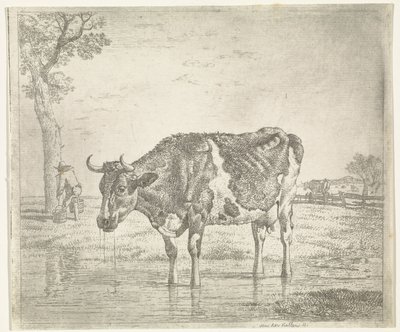 Mucca che beve da Wouter Johannes van Troostwijk