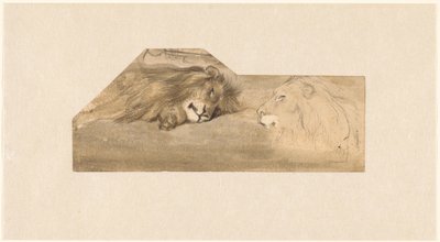 Studi di due leoni da Wouter Johannes van Troostwijk