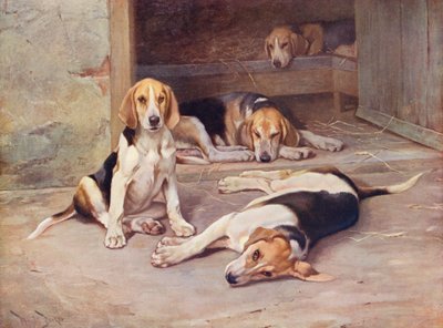 Giorni da cucciolo da Wright Barker