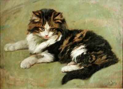 Studio di un gatto da Wright Barker