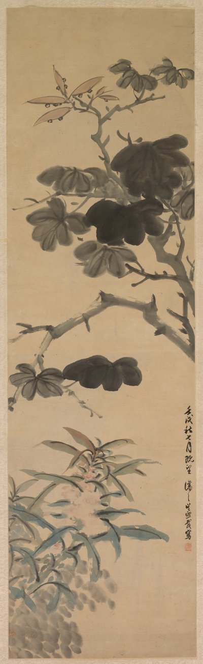 Piante in fiore da Wu Rangzhi