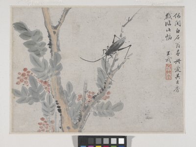 Insetto e albero dopo Shen Zhou da Wu Wang