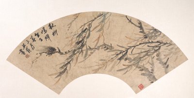 Cicala da Wu Xizai