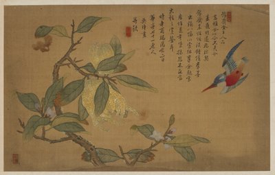 Uccello, frutta e fiori, dinastia Qing, 1741 da Wu Zhang