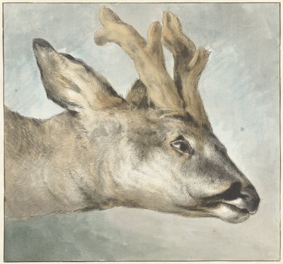 Testa di un capriolo da Wybrand Hendriks