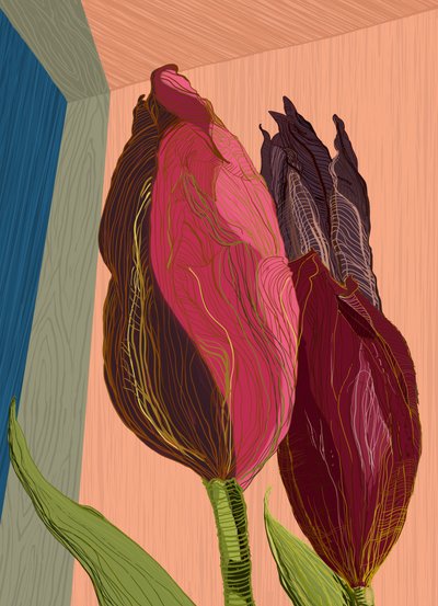 Tulipani moderni e vivaci da XHOZUCAN