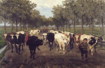 La Meersstraat a Gand da Xavier de Cock