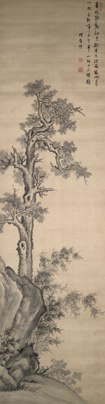 Albero di Wutong, Bambù e Roccia da Xiang Shengmo