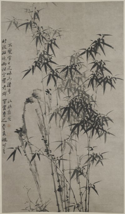 Bambù e rocce, c.1760 da Xie Zheng