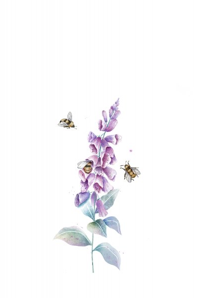 Api e fiori ad acquerello da Xuan Thai