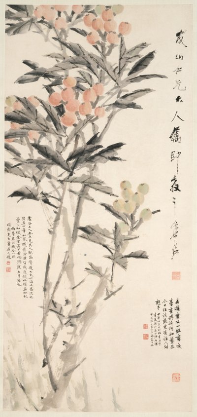 Pipa Loquats, c. 1888-89 da Xugu