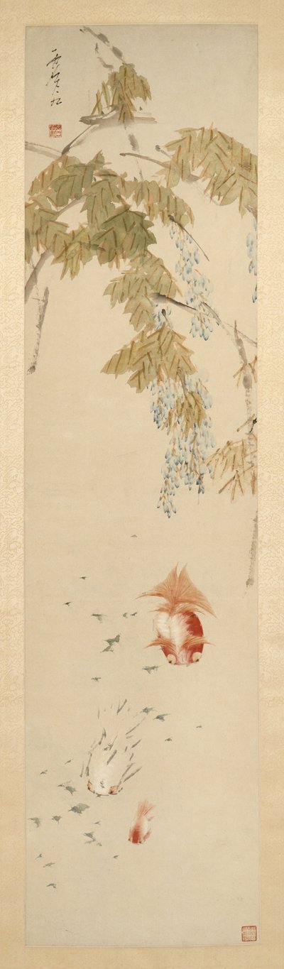 Glicine e pesci rossi 紫藤金魚圖 da Xugu