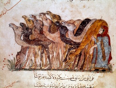 Un gruppo di cammelli e cammelliere, carovana nel deserto. Pagina di 