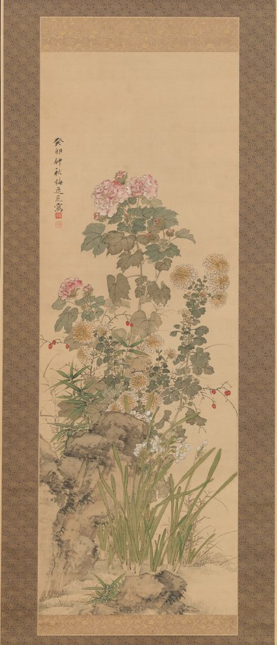 Fiori d