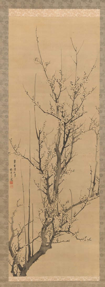 Fiori di pruno da Yamamoto Baiitsu