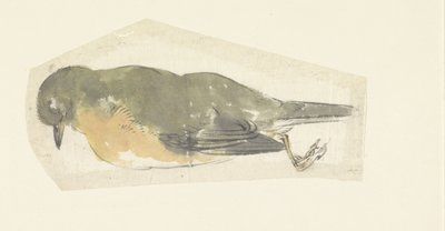 Pettirosso morto da Yamamoto Shinryo Baiitsu
