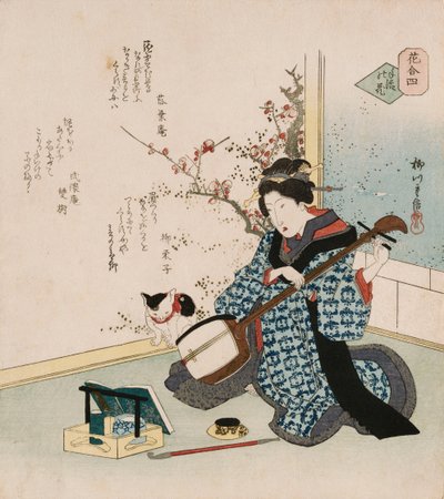 Te-ike no hana "Fiore raccolto a mano", un termine usato per riferirsi a una geisha o cortigiana che è diventata la moglie o l