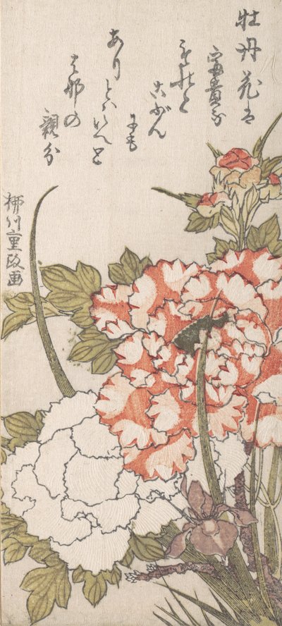 Peonie e Iris da Yanagawa Shigemasa
