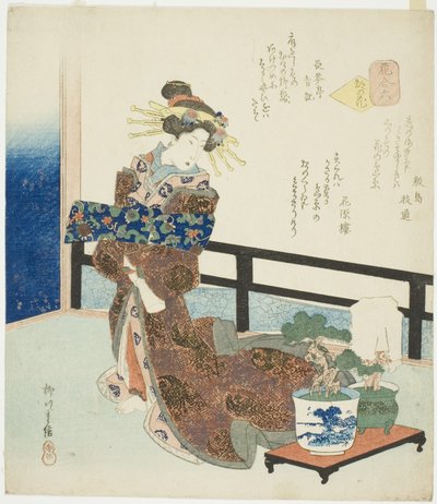 N. 6: Fiore della capitale (Miyako no hana), dalla serie "Un confronto di fiori (Hana awase)" da Yanagawa Shigenobu II