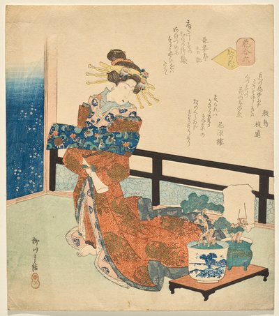 Numero sei: Fiori della capitale, dalla serie Fiori da Yanagawa Shigenobu II