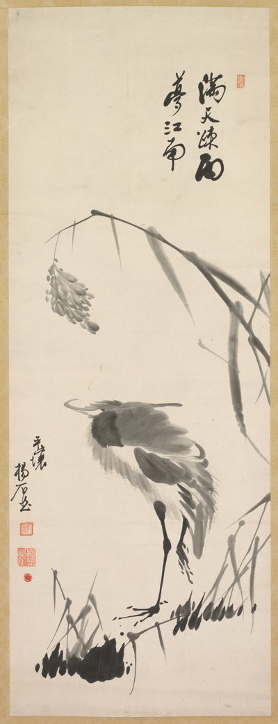 Airone e canne da Yang Ki hun