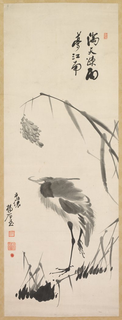 Airone e canne da Yang Ki hun