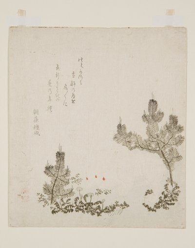 (stampa a blocchi di legno a colori) da Yashima Gakutei