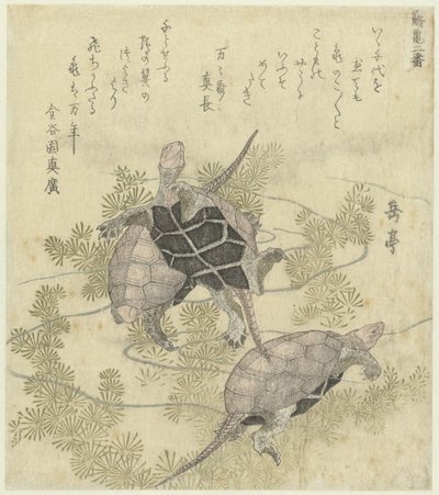 Tre tartarughe tra le piante acquatiche da Yashima Gakutei
