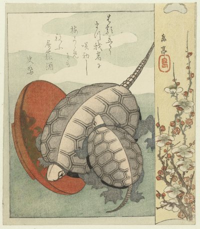 Tartarughe con ciotola di sake da Yashima Gakutei