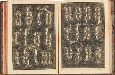 Recopilacion subtilissima, intitulada Orthographia pratica da Yciar