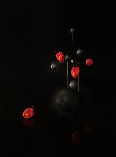  da Yi Pan