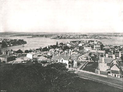 Vista dalla North Shore, Sydney, Australia, 1895 da York and Son