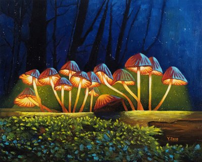 Funghi luminosi notturni da Yue Zeng