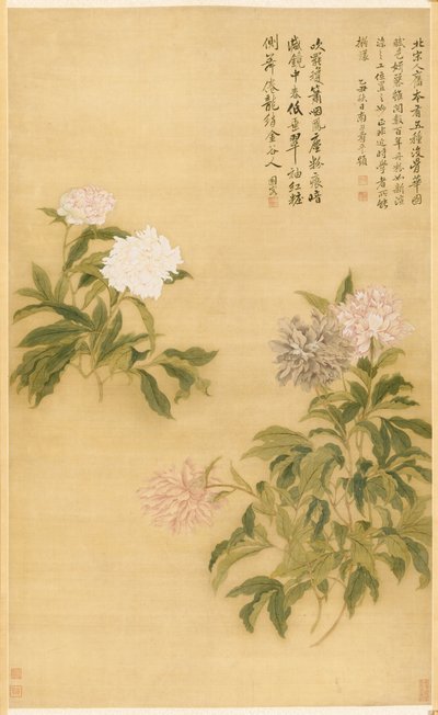 Peonie, 1685 da Shouping Yun