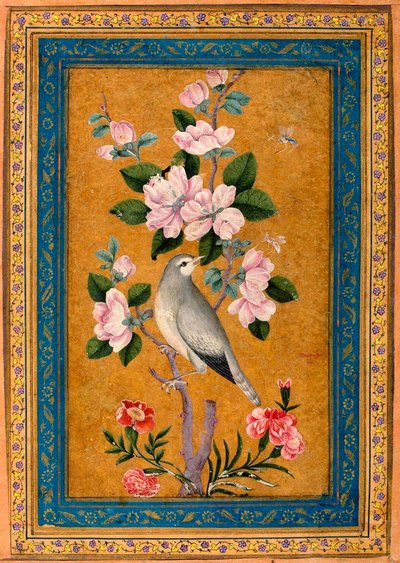 Uccello su un ramo fiorito da Yusuf Zaman