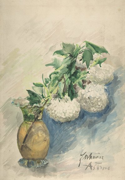 Fiori bianchi in un vaso da Zacharie Astruc